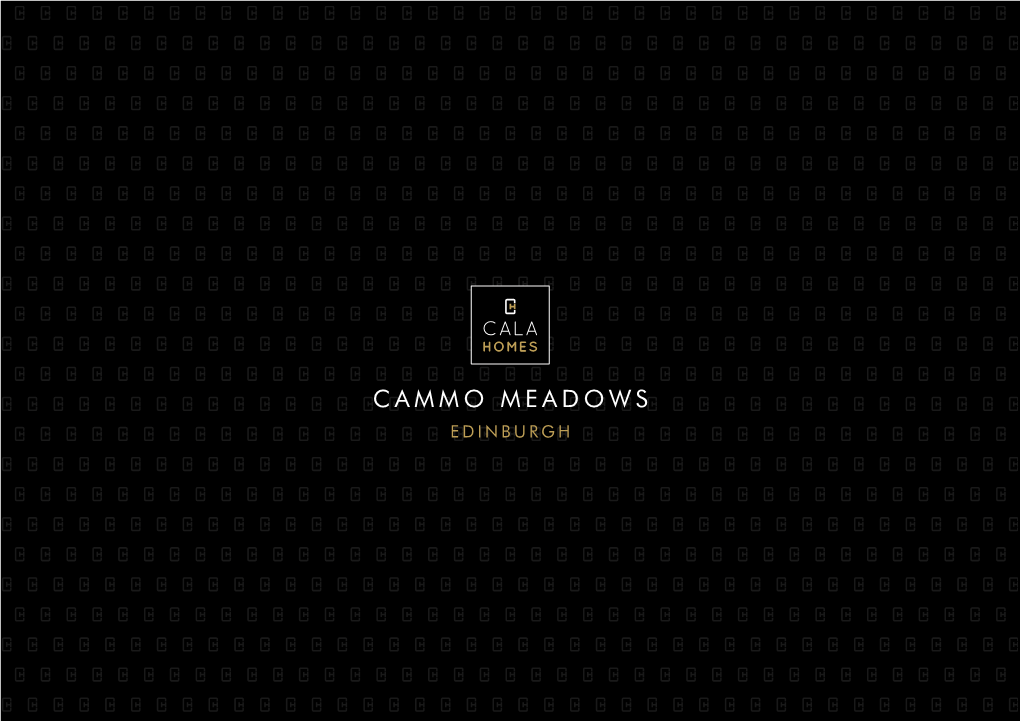 CAMMO MEADOWS EDINBURGH CGI – Cammo Estate Edge Street Scene