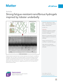 Strong Fatigue-Resistant Nanofibrous Hydrogels Inspired by Lobster Underbelly