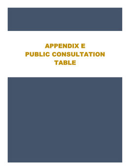 Appendix E Public Consultation Table