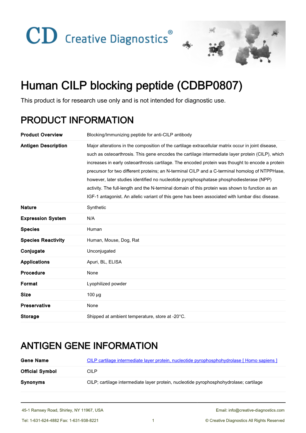 Human CILP Blocking Peptide (CDBP0807) This Product Is for Research Use Only and Is Not Intended for Diagnostic Use