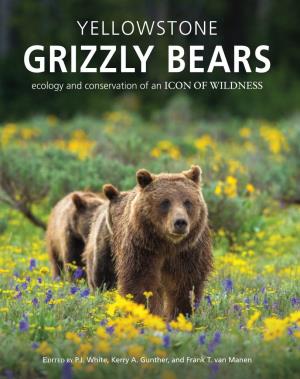Yellowstone Grizzly Bears: Ecology and Conservation of an Icon of Wildness