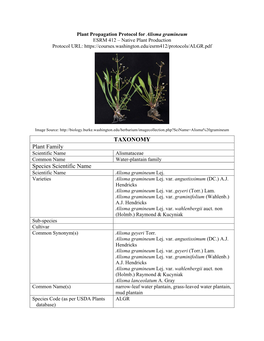 TAXONOMY Plant Family Species Scientific Name