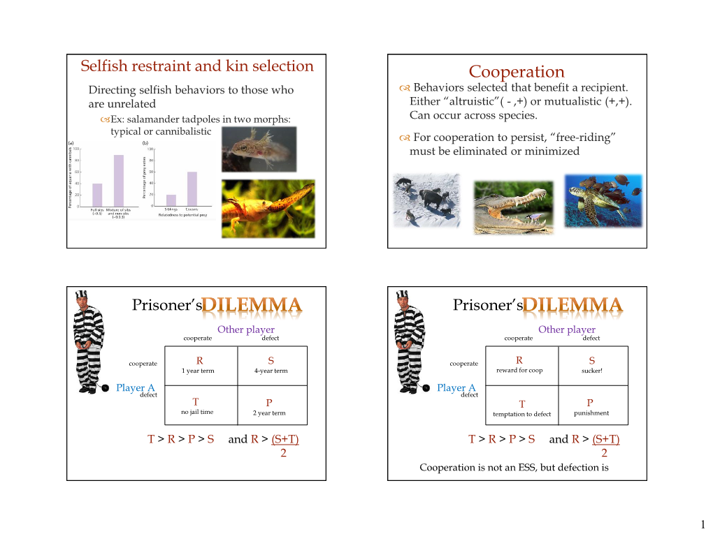 Cooperation Directing Selfish Behaviors to Those Who  Behaviors Selected That Benefit a Recipient