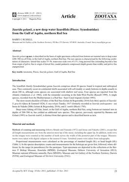 Saurida Golanii, a New Deep Water Lizardfish (Pisces: Synodontidae) from the Gulf of Aqaba, Northern Red Sea