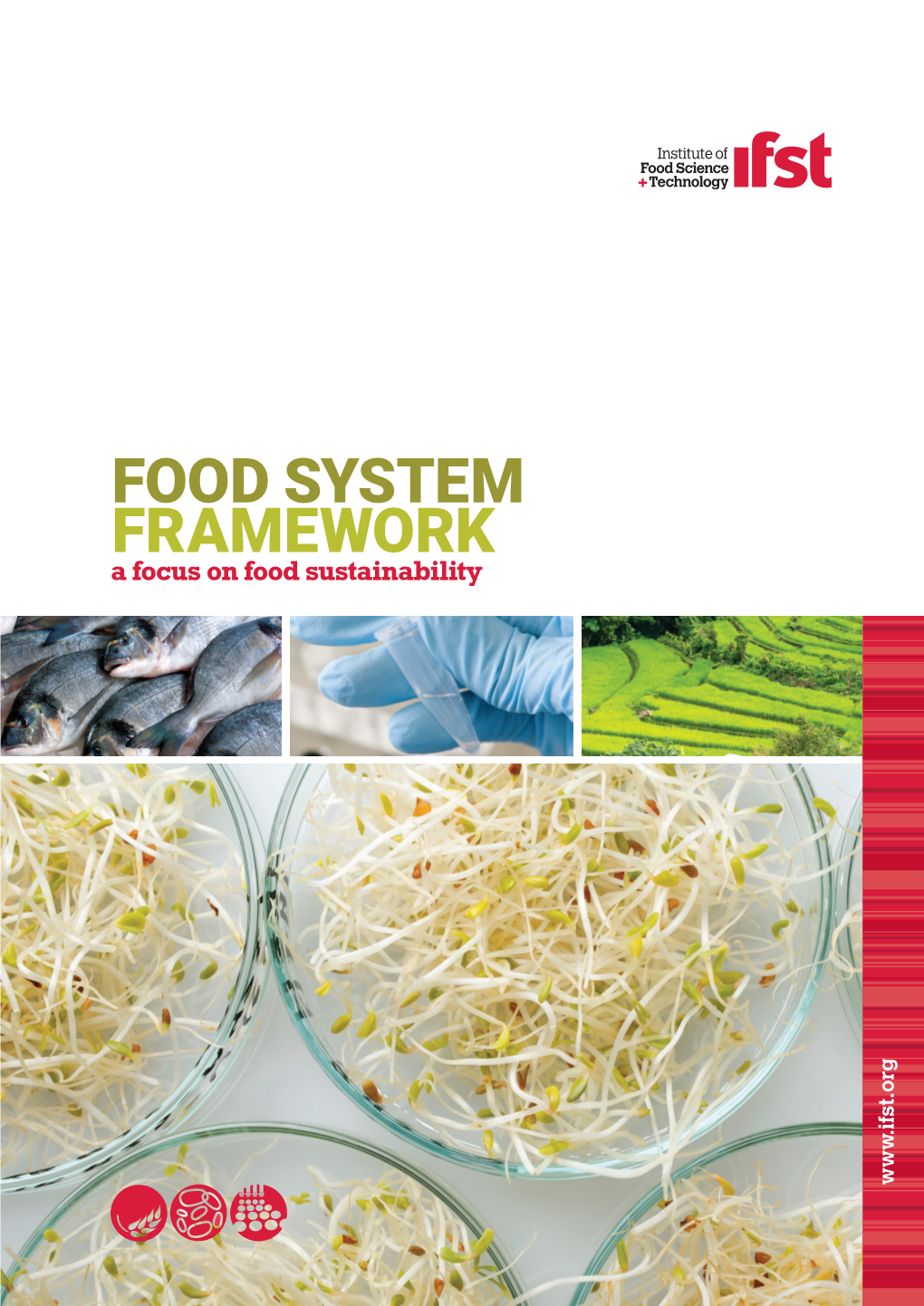 Sustainable Food System Framework