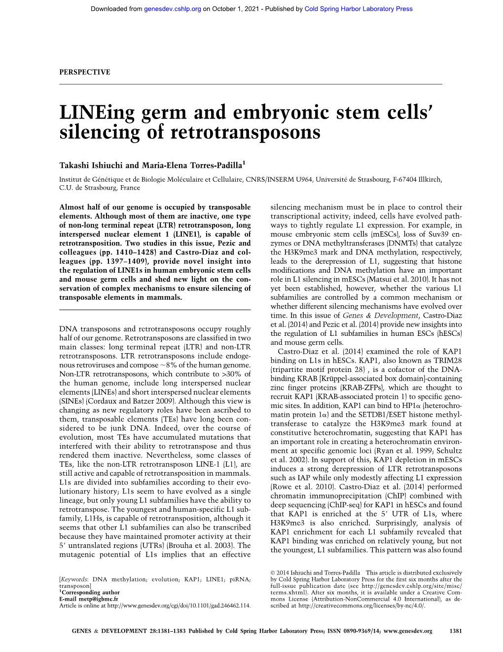 Lineing Germ and Embryonic Stem Cells' Silencing of Retrotransposons