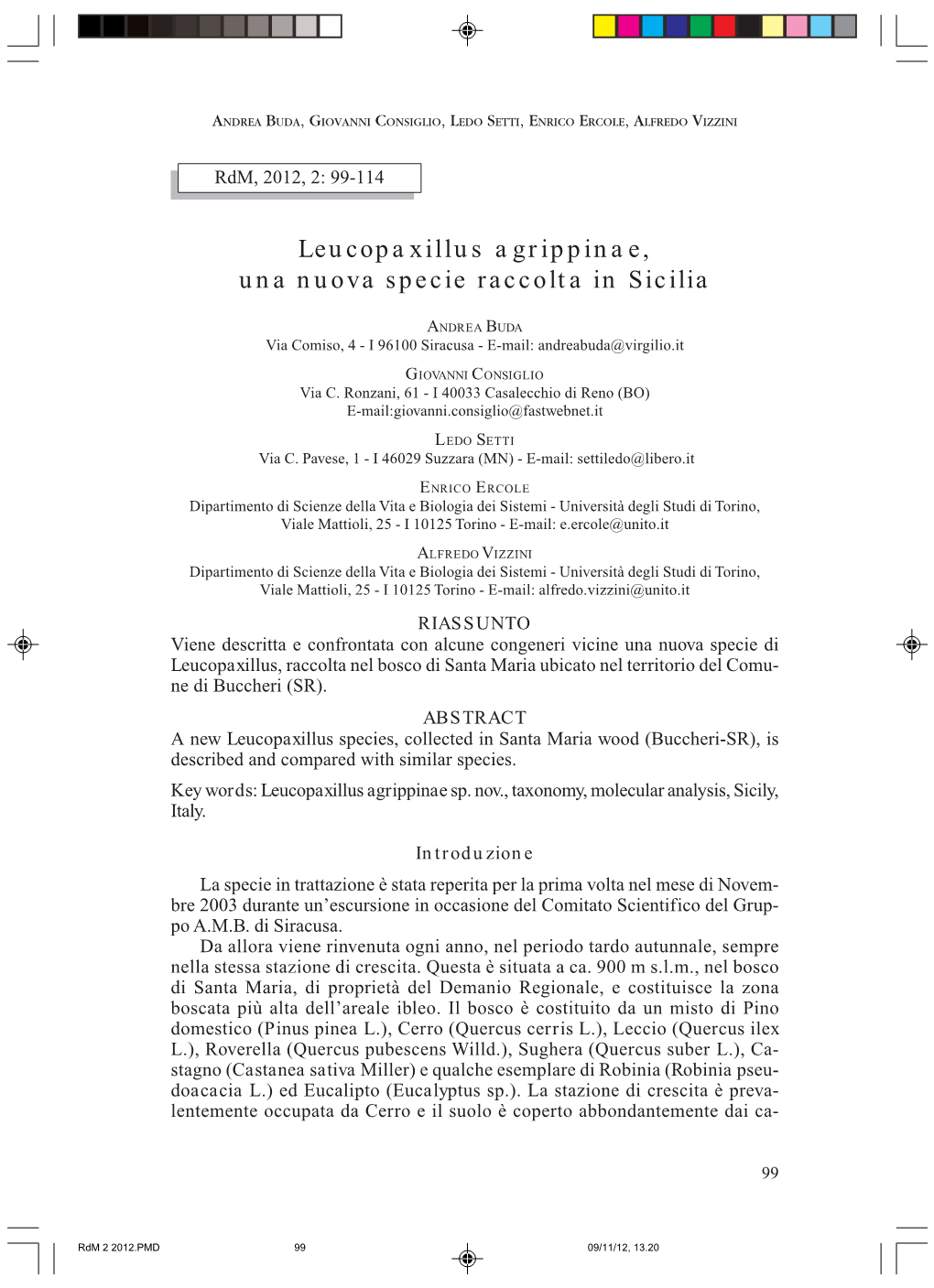 Leucopaxillus Agrippinae, Una Nuova Specie Raccolta in Sicilia