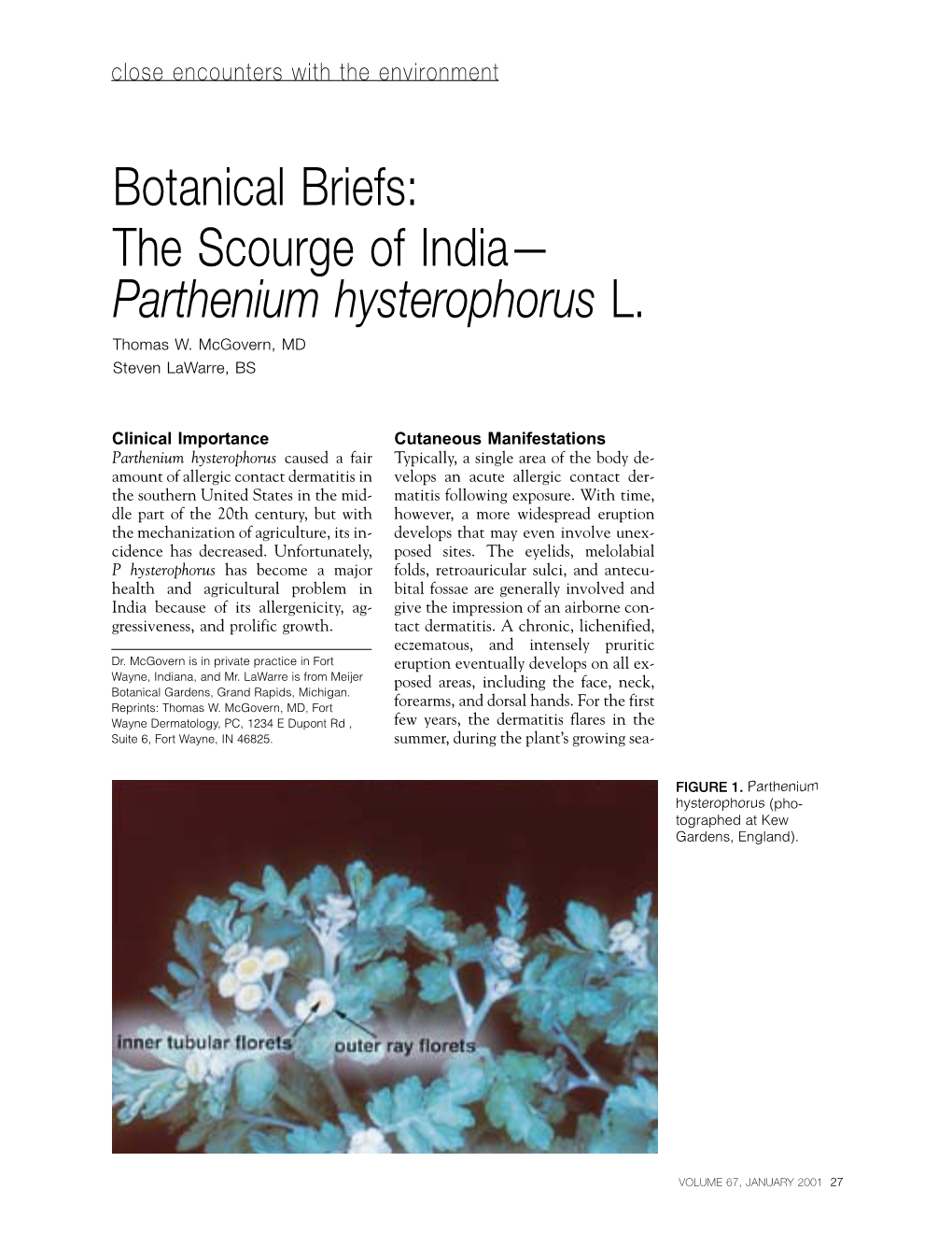 The Scourge of India— Parthenium Hysterophorus L. Thomas W