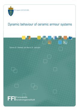 Dynamic Behaviour of Ceramic Armour Systems