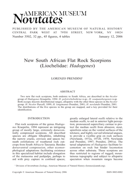 New South African Flat Rock Scorpions (Liochelidae: Hadogenes)