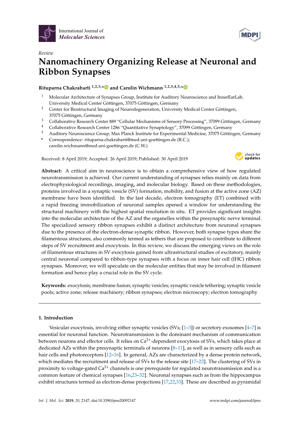 Nanomachinery Organizing Release at Neuronal and Ribbon Synapses