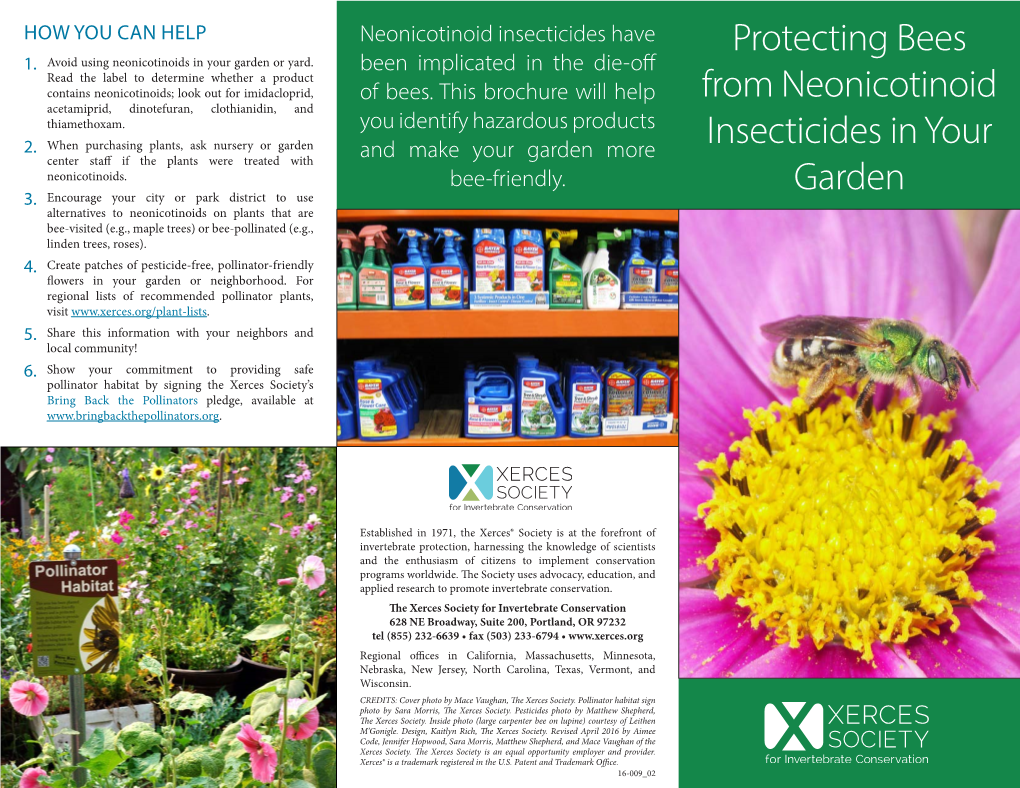 Protecting Bees from Neonicotinoid Insecticides in Your Garden