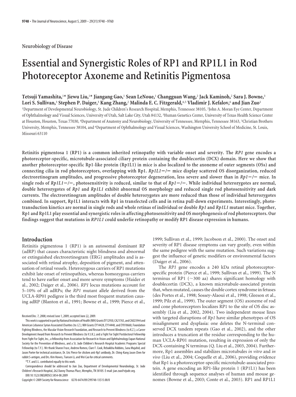 Essential and Synergistic Roles of RP1 and RP1L1 in Rod Photoreceptor Axoneme and Retinitis Pigmentosa