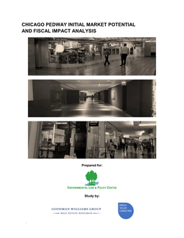 Chicago Pedway Initial Market Potential and Fiscal Impact Analysis