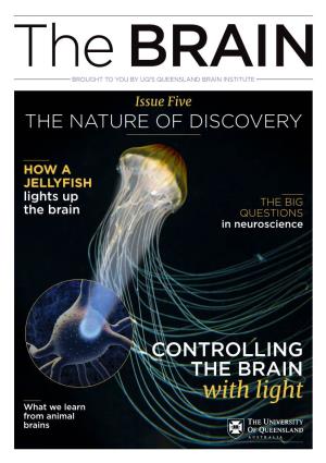The Brain Nature of Discovery Pdf