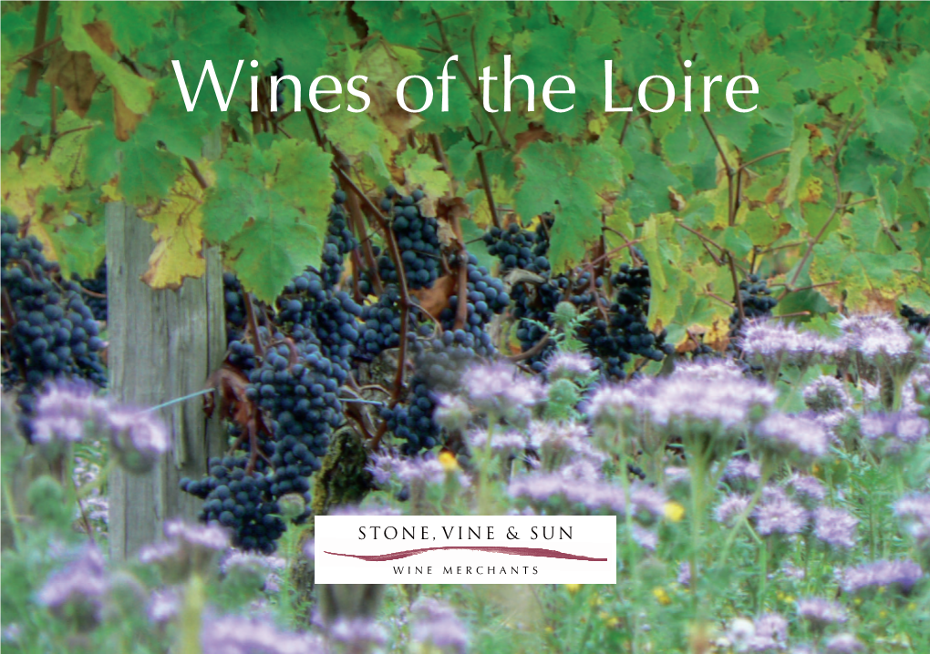 Wines of the Loire