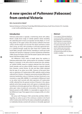 A New Species of Pultenaea (Fabaceae) from Central Victoria