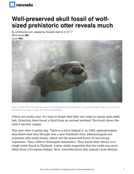 Well-Preserved Skull Fossil of Wolf- Sized Prehistoric Otter Reveals Much by Smithsonian.Com, Adapted by Newsela Staff on 01.27.17 Word Count 568 Level 780L