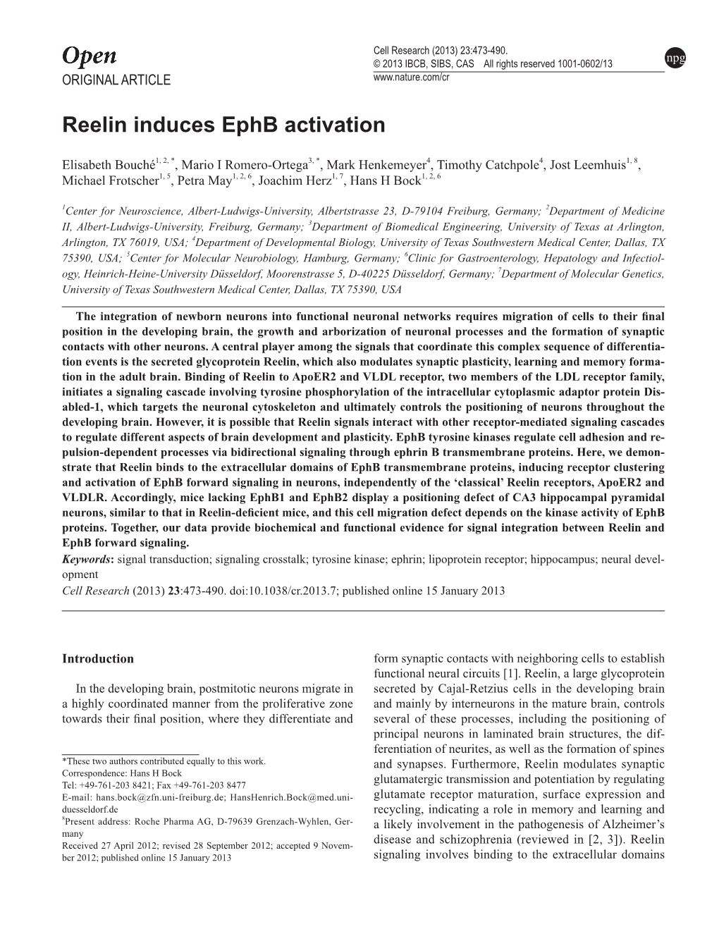 Reelin Induces Ephb Activation