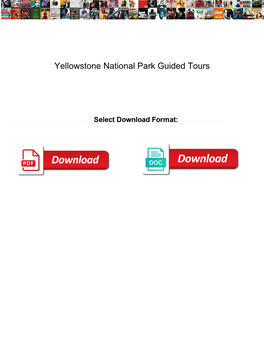Yellowstone National Park Guided Tours
