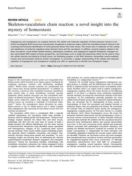 Skeleton-Vasculature Chain Reaction: a Novel Insight Into the Mystery of Homeostasis