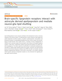 Brain-Specific Lipoprotein Receptors Interact with Astrocyte Derived