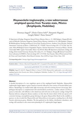 Mayaweckelia Troglomorpha, a New Subterranean Amphipod Species from Yucatán State, México (Amphipoda, Hadziidae)