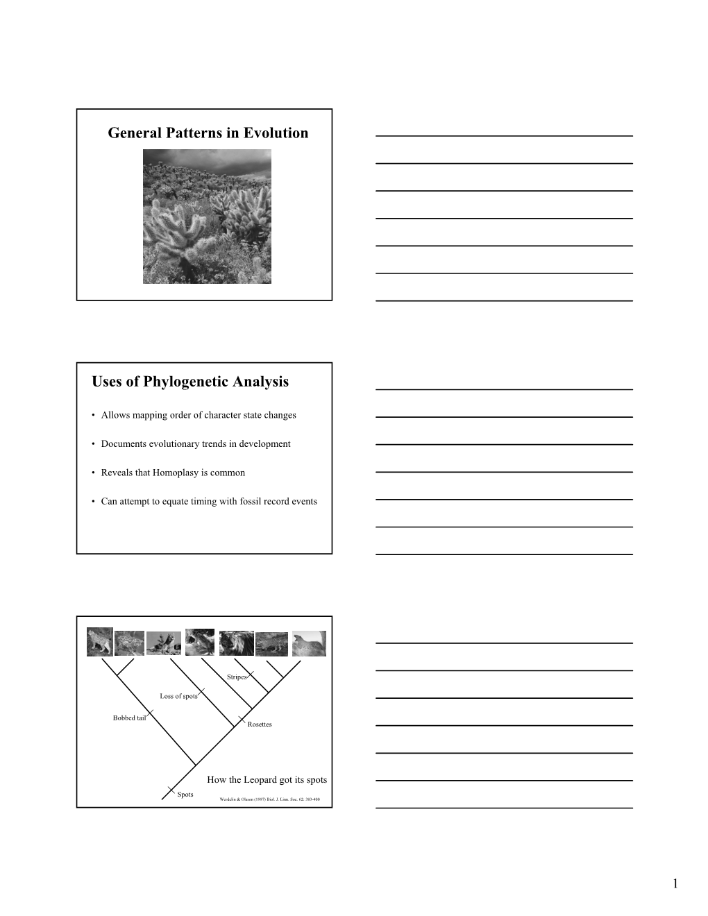 General Patterns in Evolution Uses of Phylogenetic Analysis