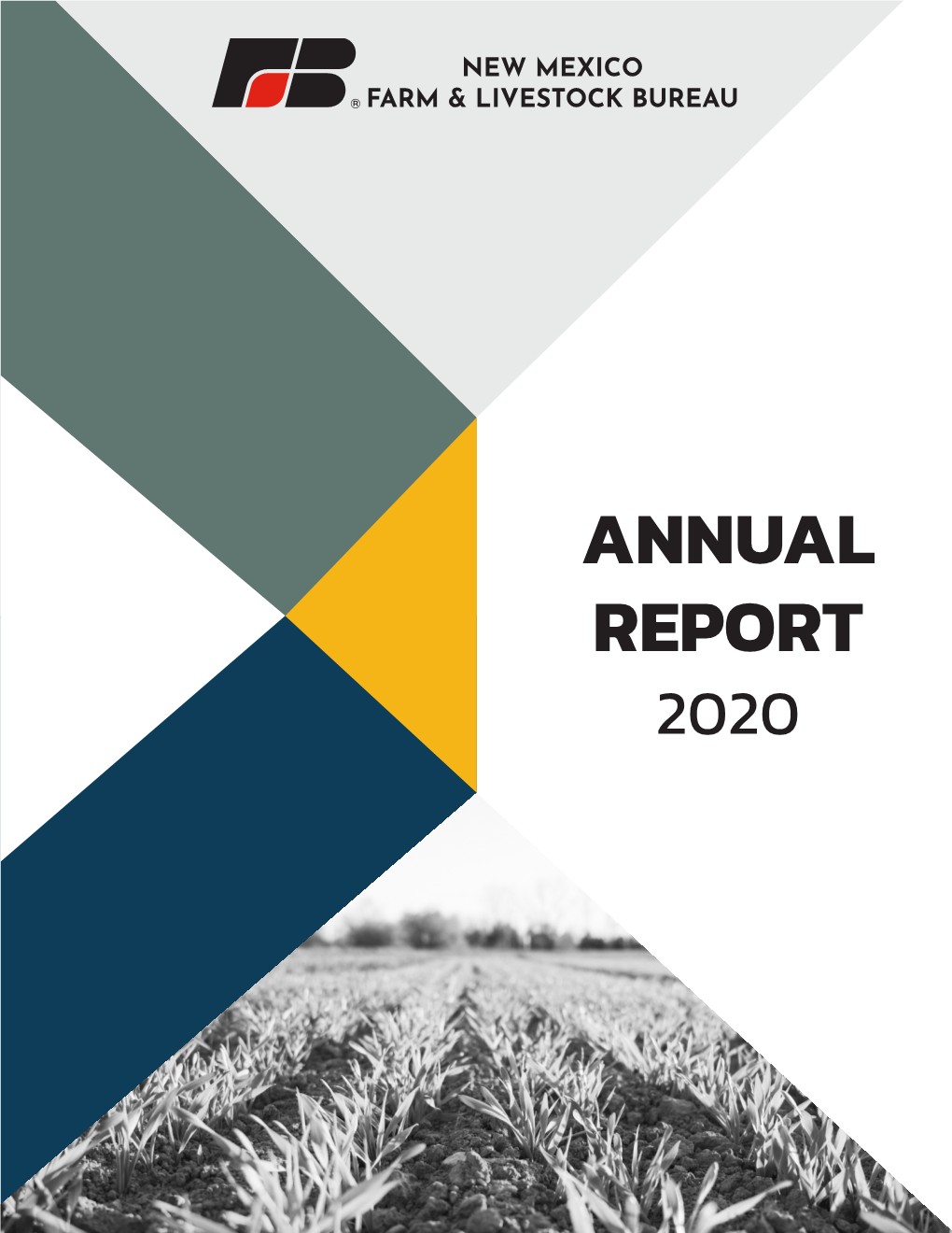 ANNUAL REPORT 2020 This Has Certainly Been a Year for the Record Books - One That We Won’T Ever Forget