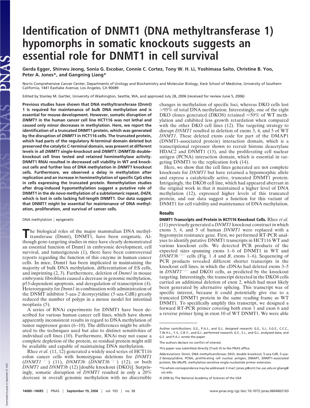 Identification of DNMT1 (DNA Methyltransferase 1) Hypomorphs in Somatic Knockouts Suggests an Essential Role for DNMT1 in Cell Survival