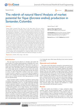 The Rebirth of Natural Fibers? Analysis of Market Potential for Fique Furcraea( Andina) Production in Santander, Colombia