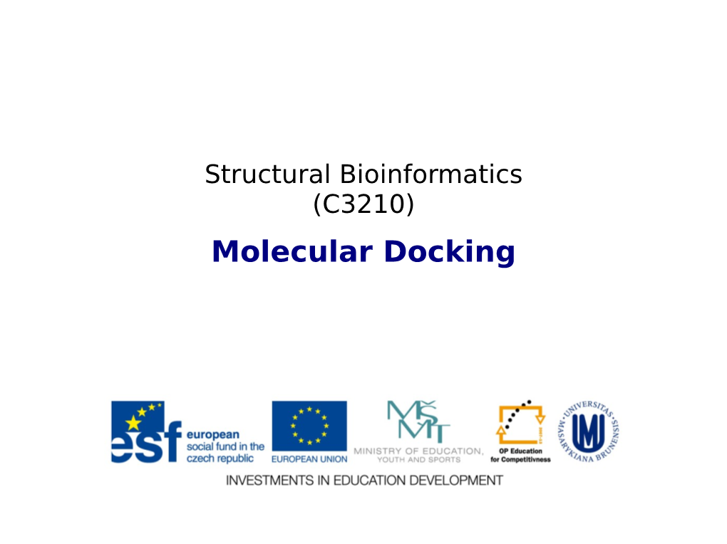 Molecular Docking