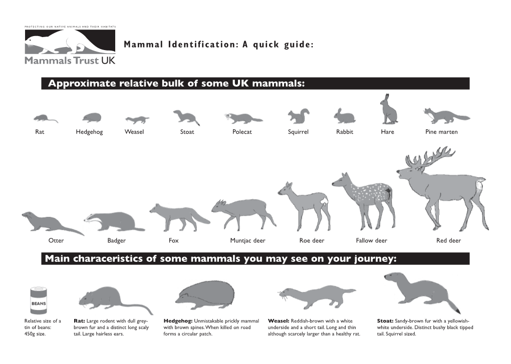 Approximate Relative Bulk of Some UK Mammals: Main Characeristics Of