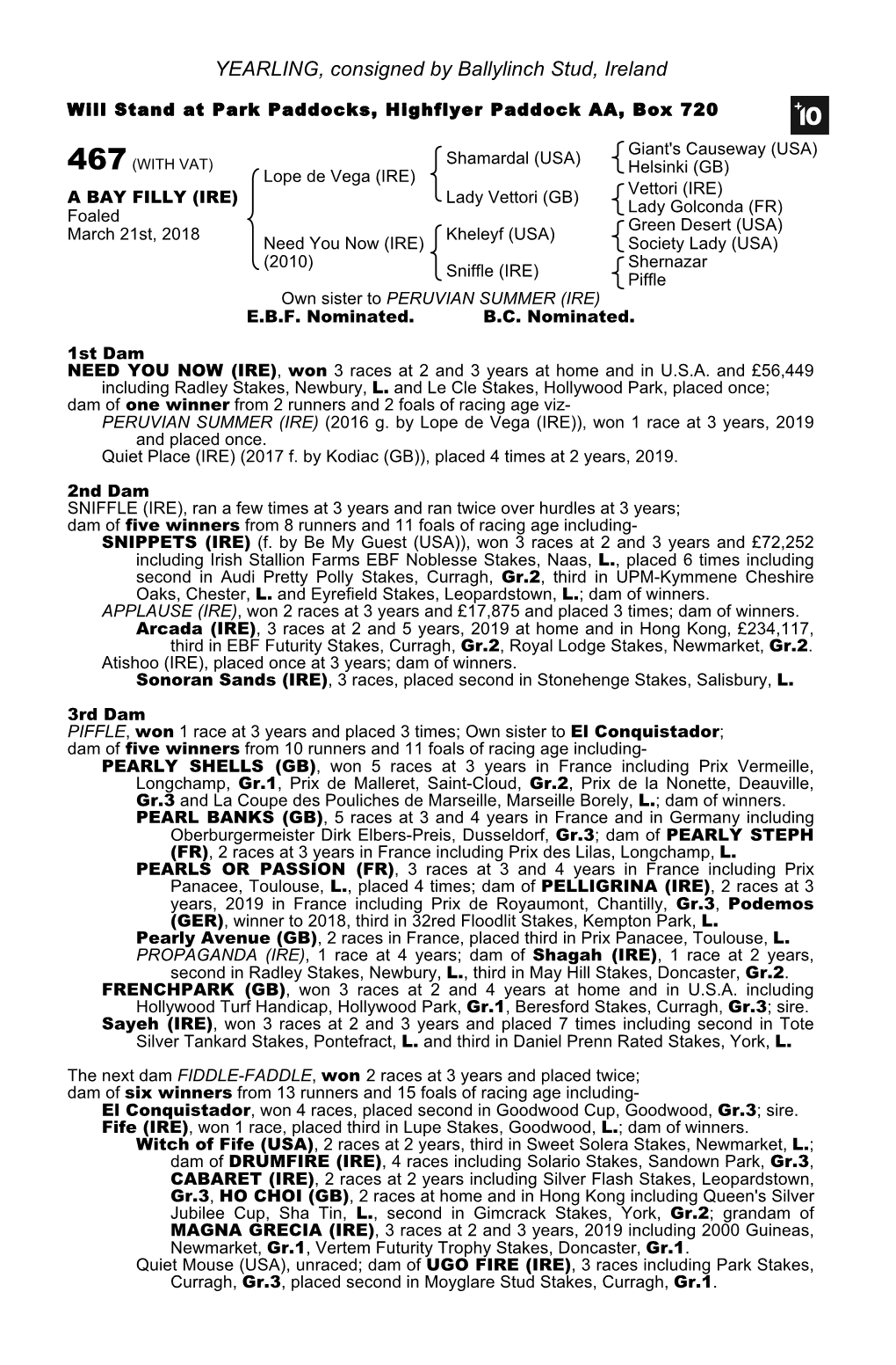 YEARLING, Consigned by Ballylinch Stud, Ireland