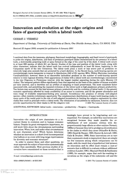 Innovation and Evolution at the Edge: Origins and Fates of Gastropods with a Labral Tooth