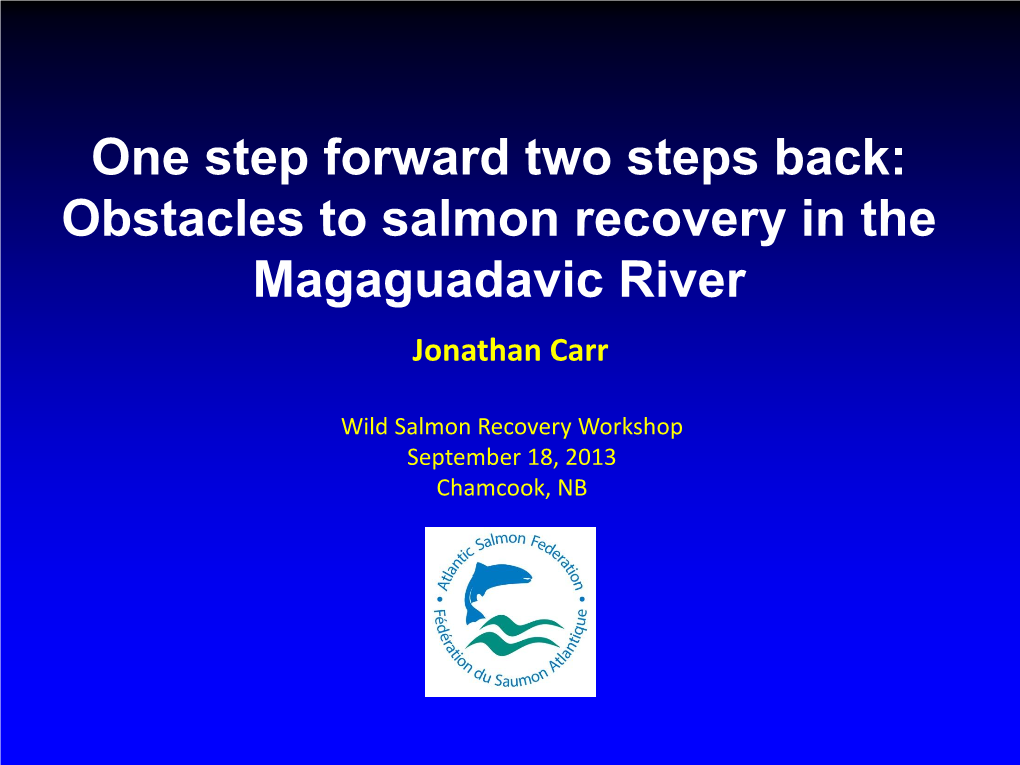 Obstacles to Salmon Recovery in the Magaguadavic River Jonathan Carr