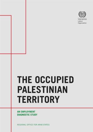 The Occupied Palestinian Territory: an Employment Diagnostic Studypdf