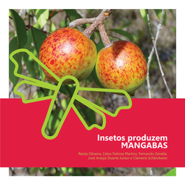 Insetos Produzem Mangabas / Reisla Oliveira