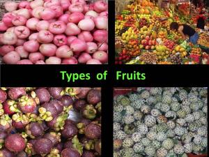 Types of Fruits What Is a Fruit?