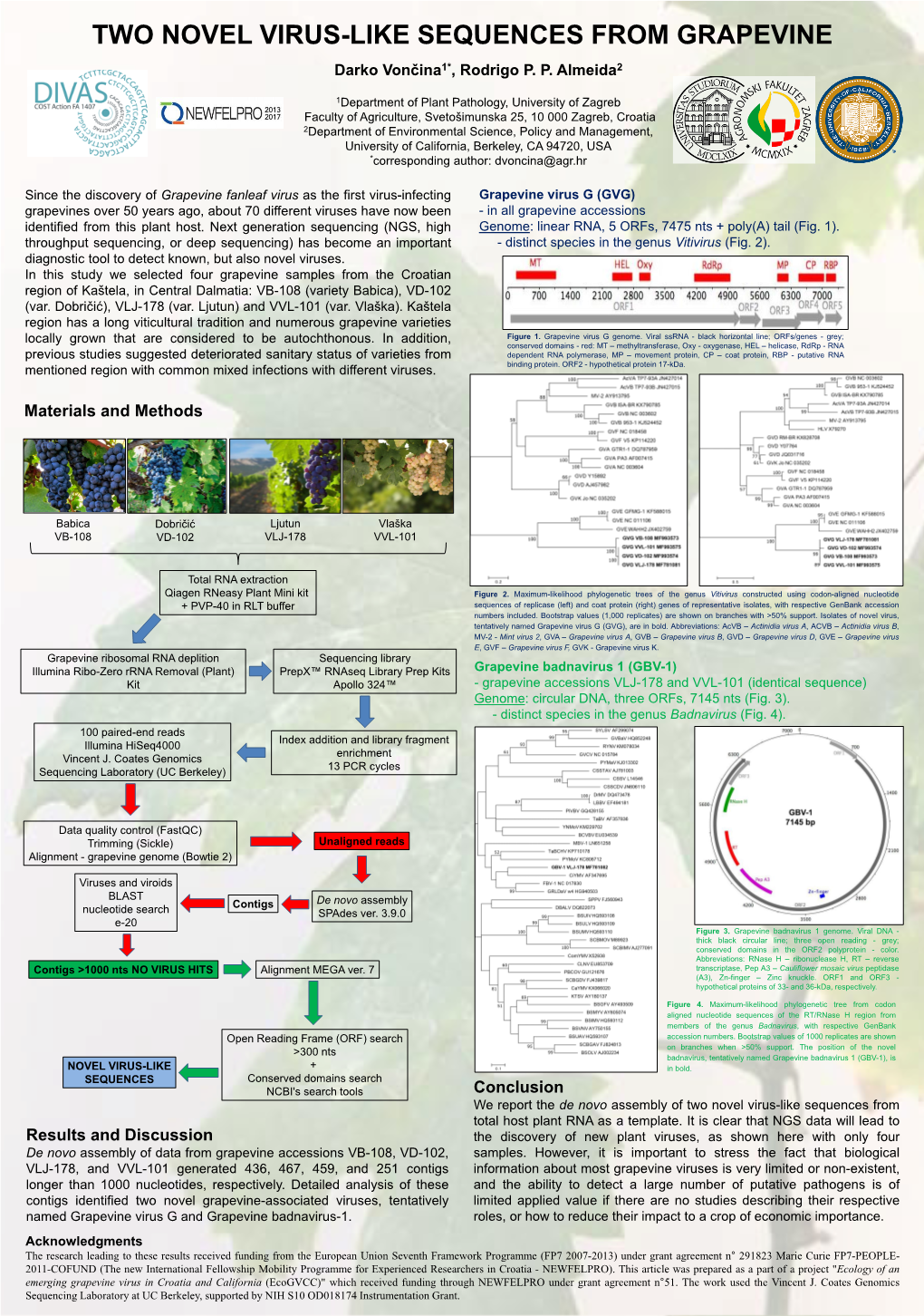 TWO NOVEL VIRUS-LIKE SEQUENCES from GRAPEVINE Darko Vončina1*, Rodrigo P