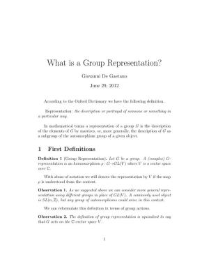 What Is a Group Representation?