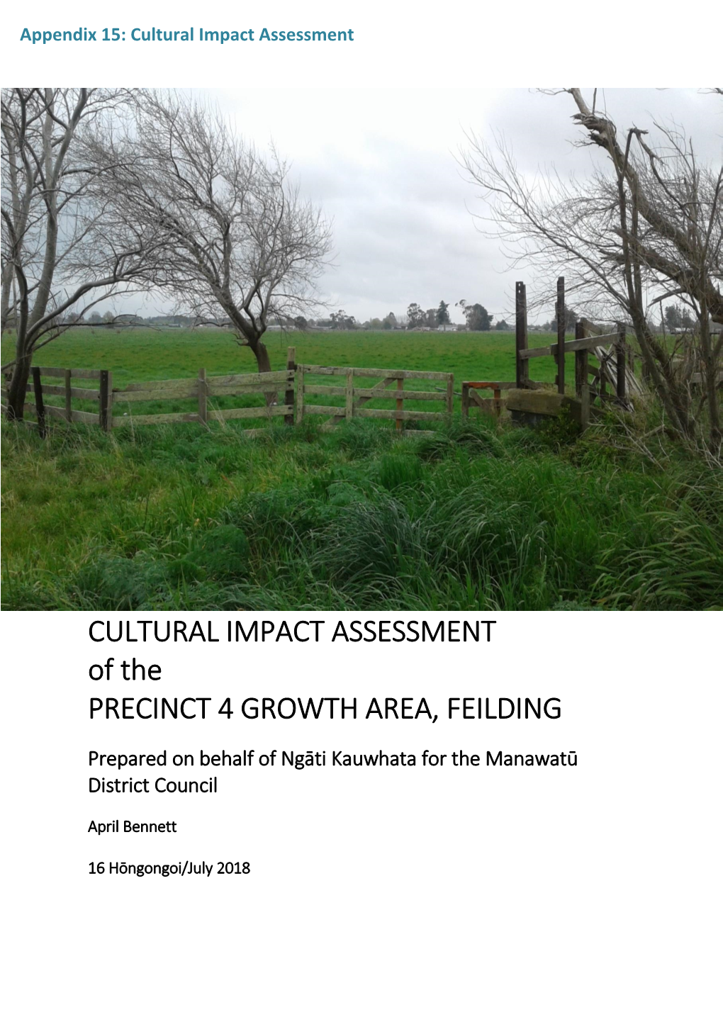 CULTURAL IMPACT ASSESSMENT of the PRECINCT 4 GROWTH AREA, FEILDING