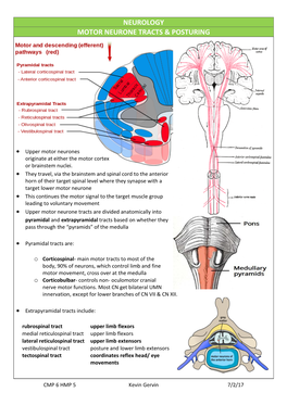Neurology Motor Neurone Tracts & Posturing