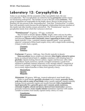Laboratory 12: Caryophyllids 2