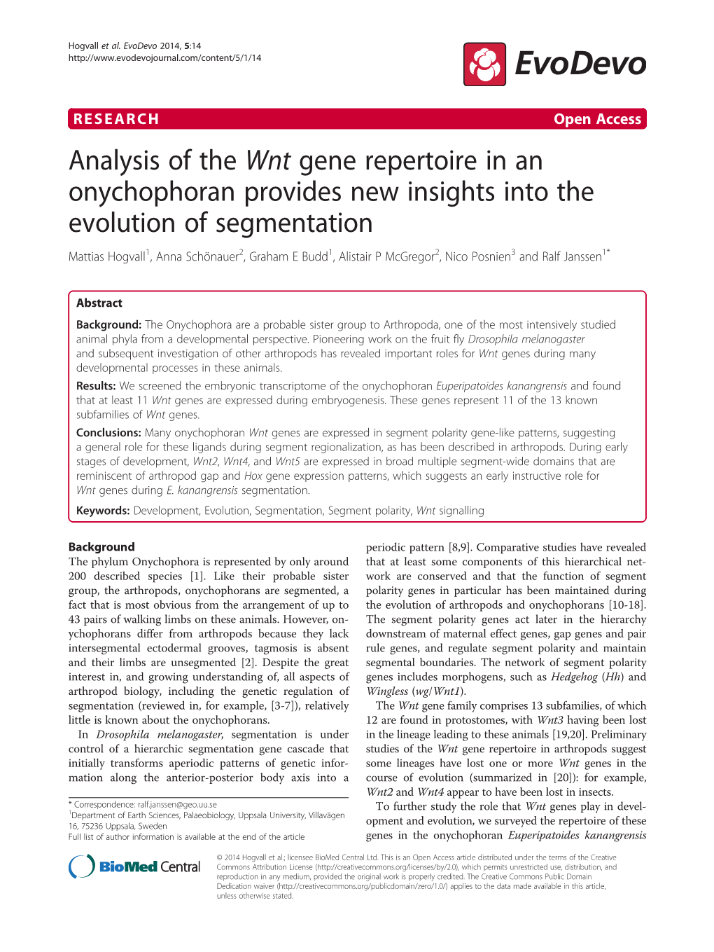 Analysis of the Wnt Gene Repertoire in an Onychophoran Provides New