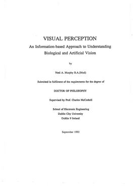 VISUAL PERCEPTION an Information-Based Approach to Understanding Biological and Artificial Vision