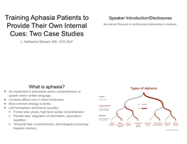 Training Aphasia Patients to Provide Their Own Internal Cues