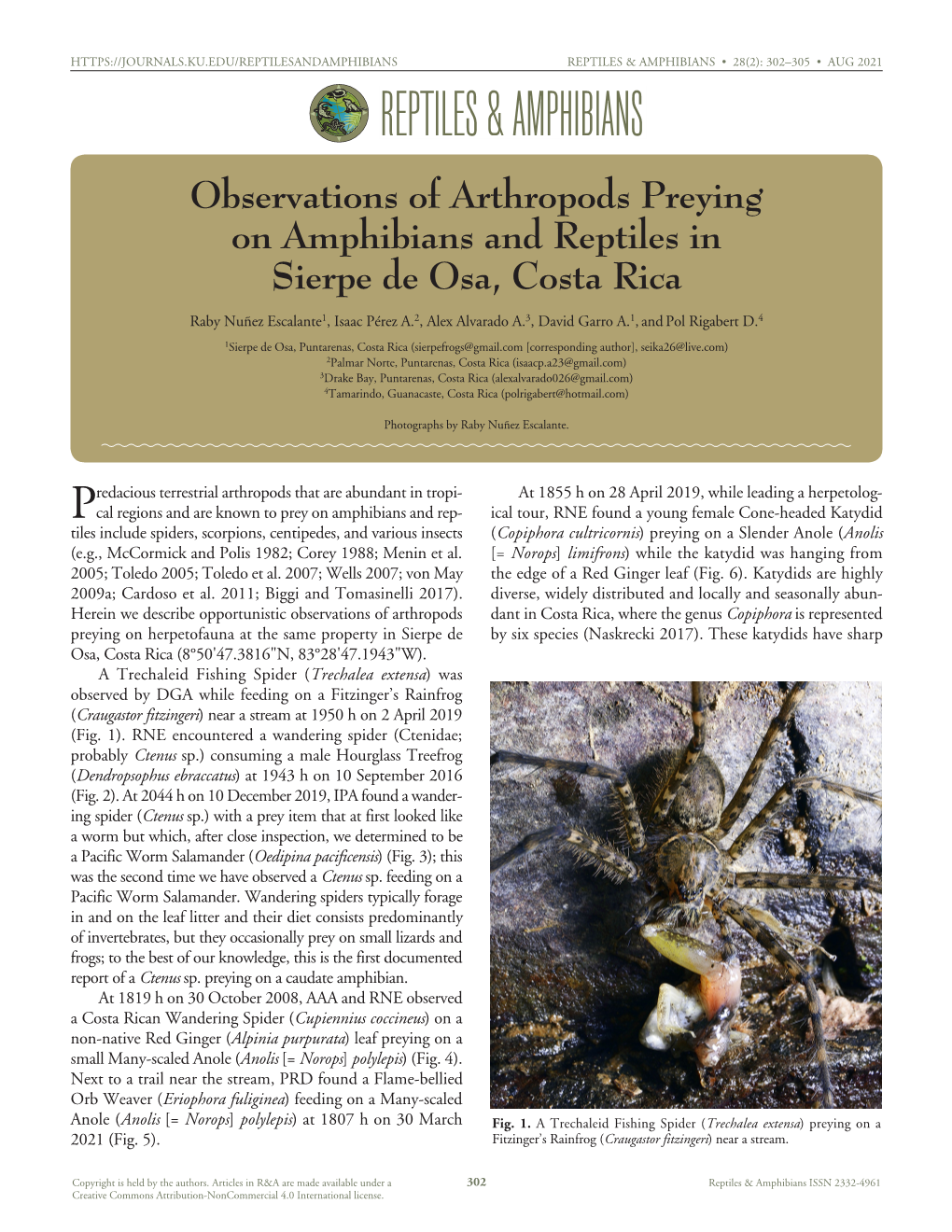 Observations of Arthropods Preying On