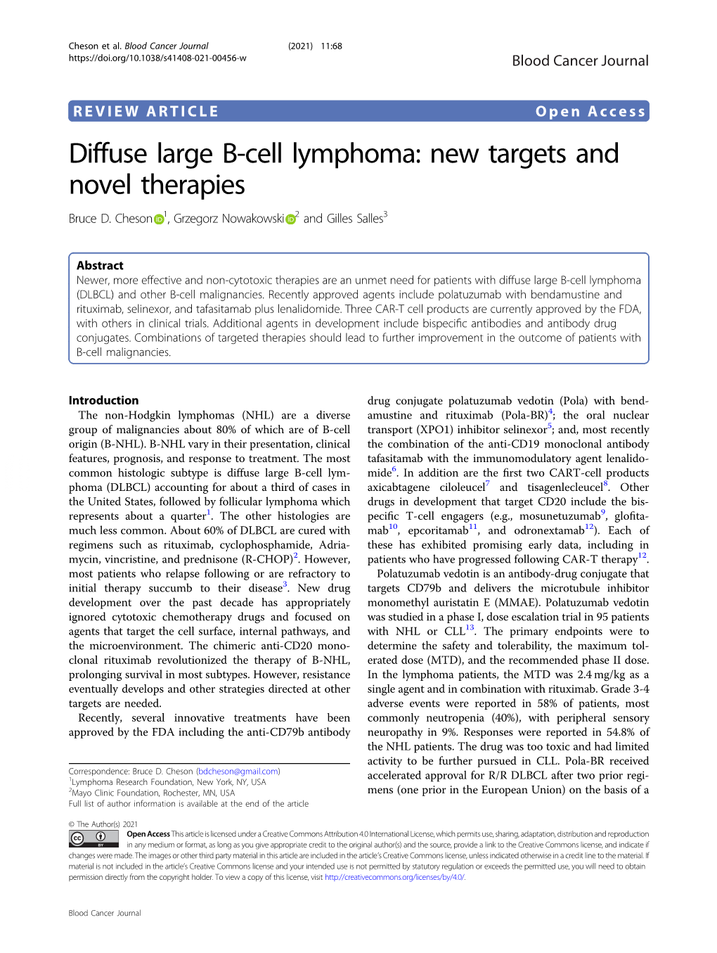 Diffuse Large B-Cell Lymphoma: New Targets And Novel Therapies Bruce D ...