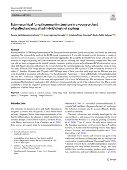 Ectomycorrhizal Fungal Community Structure in a Young Orchard of Grafted and Ungrafted Hybrid Chestnut Saplings